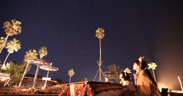 和歌山・アドベンチャーワールド こたつで楽しむ「ナイトサファリ」