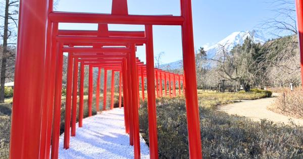 富士山を背景にした「絶景千本鳥居」が山梨県「忍野しのびの里」に誕生