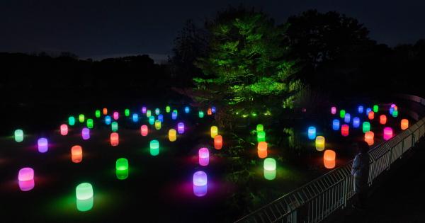 大阪・長居植物園の「チームラボ」常設展で大池を彩るランプ作品が公開