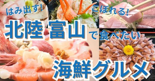 北陸旅で食べたい【富山の海鮮グルメ】漁師オーナー山盛り丼や漁協・鮮魚店直営の漁港メシ…地元民も驚く海鮮グルメ