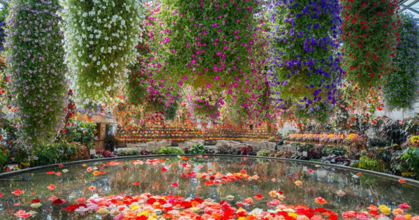 三重・桑名ドライブ ｜ 季節の花と絶景が迎える特別なひととき