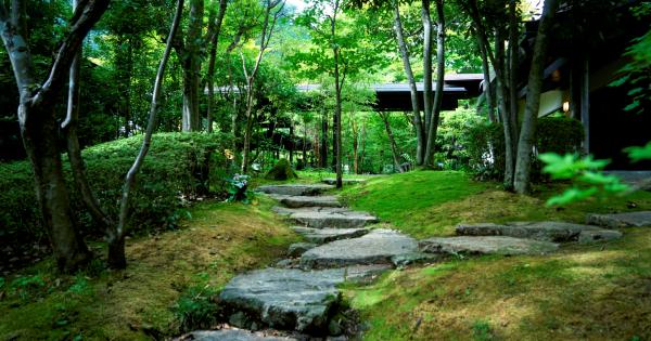 2025年2月開業！栃木・日光に大人のインクルーシブ温泉リゾート「TAOYA川治」誕生