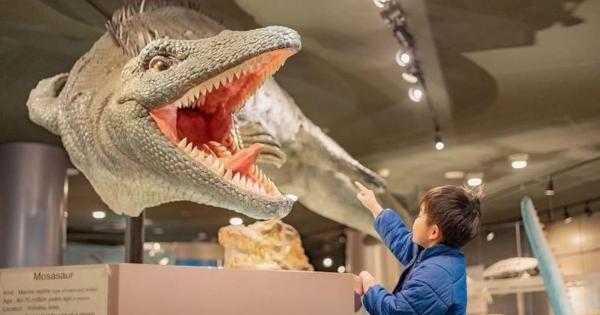 町全体が「恐竜ワールド」！日本屈指の発見がざくざくの博物館をたっぷり満喫するポイントを獣医師ママライターが解説｜北海道・むかわ町「穂別博物館」