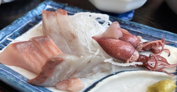 朝どれ! 漁協の“お母さん”の味【JF 女性部食堂】富山湾の宝石「シロエビ」もランチで