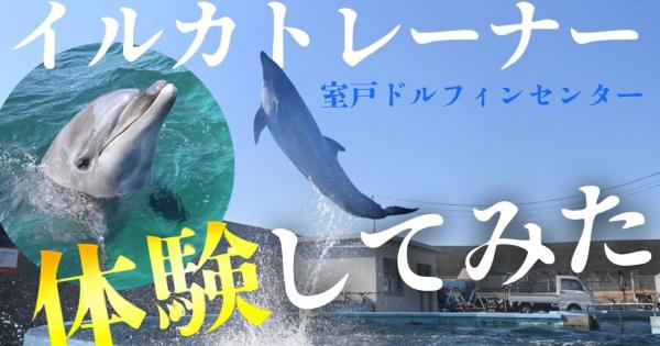 大人もはまる！室戸ドルフィンセンターでイルカトレーナー初体験！