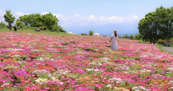大分・くじゅう花公園