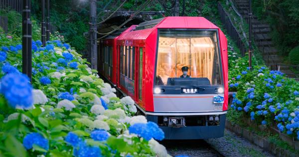 箱根登山電車「夜のあじさい号」