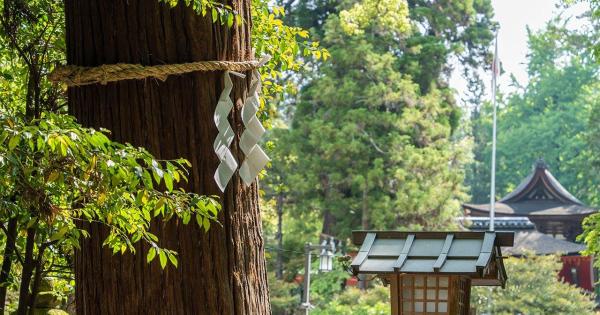 時空を超えて。「フェアフィールド・バイ・マリオット・奈良天理山の辺の道」を拠点に楽しむ奈良・天理の歴史旅