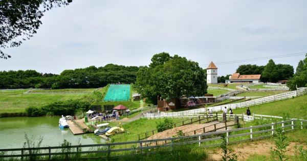 こもれび森のイバライド