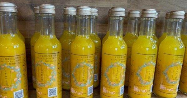 【大分】津久見みかんの魅力をギュッと！絶品みかんソフト