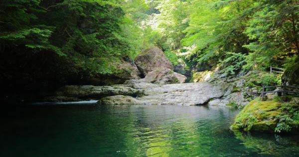 【奈良】涼を求めて奈良・天川村へ！渓谷ハイキングに鍾乳洞探検、温泉まで楽しむ夏