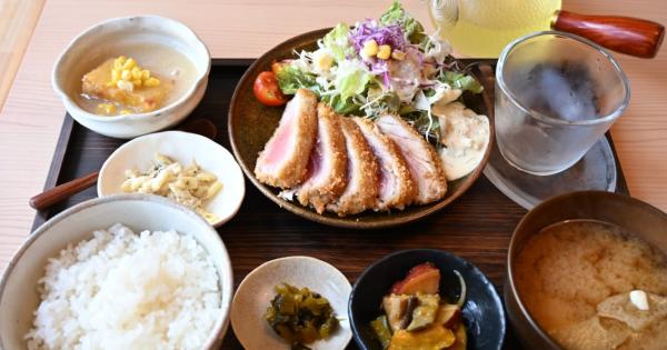 2025 年 7 月 OPEN！土佐茶×和食「土佐茶食堂ちゃづる」