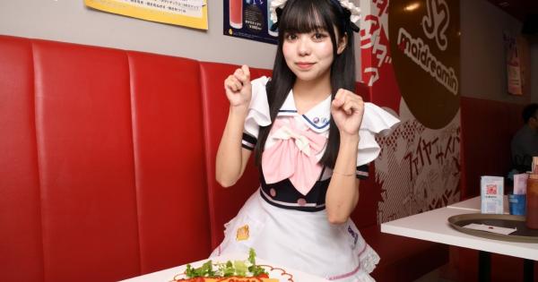 【モデルコース】秋葉原を一日観光したら、メイドカフェ・レジェンドゲーム…サブカルの扉が開きまくった【楽しい】