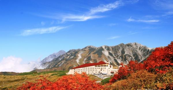 富山の紅葉 2025「室堂平｜立山黒部アルペンルート」日帰りできる標高 2450m 火山湖、天然温泉、ライチョウも