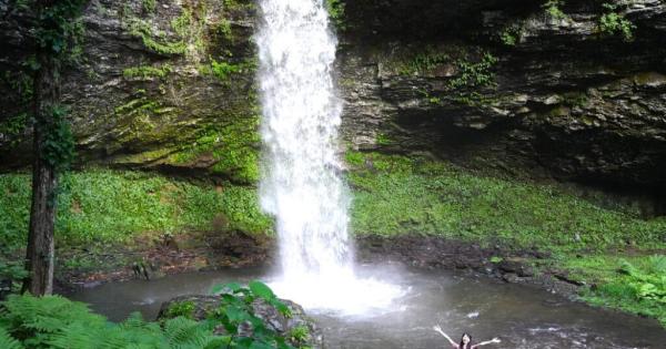 まるで異世界に来たよう…。鳥取県の山奥にある、24 メートルの高さの迫力ある滝！