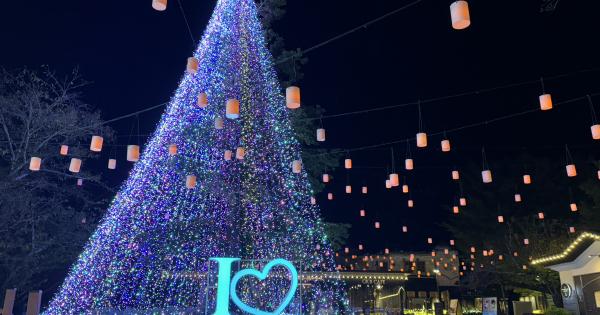 「ひかりのすみか」シンボルツリー