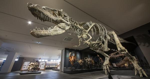 兵庫県丹波市に「たんば恐竜博物館」が2025年7月オープン。丹波竜の全身骨格模型や化石展示、進化の歴史を学べる体験型ゾーンなど、恐竜好き必見のスポットです。化石発掘体験や周辺施設も充実。