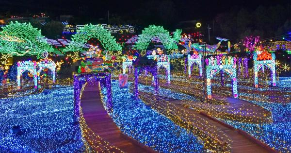 伊豆高原グランイルミ 2025-2026年