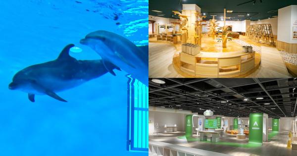 雨の日でも OK！親子で非日常の遊びが体験できる最新スポット