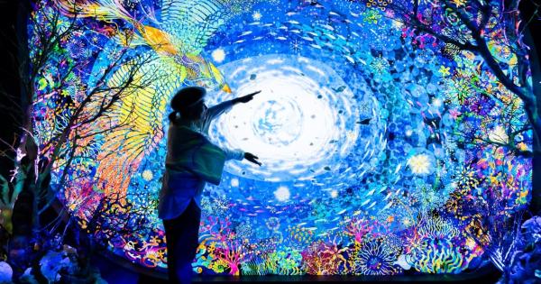 水や森とアートが融合！五感で巡る「広島もとまち水族館」の楽しみ方ガイド