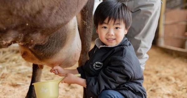 真冬でも動物たちとふれあえる！北海道・美瑛の「超レア」な牧場を獣医師ママライターが解説