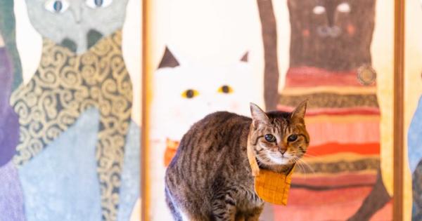 京都の奥座敷・八瀬にある猫好きの聖地へ♪「猫猫寺 開運ミュージアム」