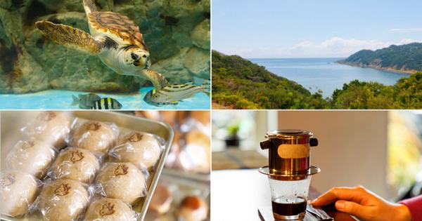 うみがめの産卵にであえるかも！？徳島の豊かな自然と“世界初”に出会う旅