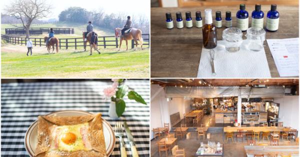 【那須】さわやかな高原の自然を感じる1泊2日のドライブ旅へ