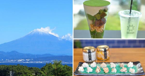 秋の焼津週末旅へ♪ 和スイーツ、アート、星空を探して