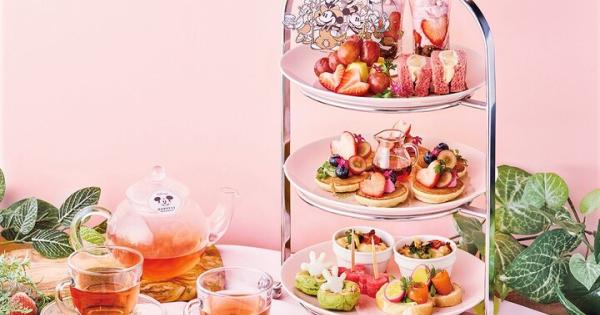 横浜赤レンガ倉庫だけの限定品が盛り沢山♪ディズニーの世界感を楽しめるカフェ＆ギフトショップ「Disney HARVEST MARKET By CAFE COMPANY」