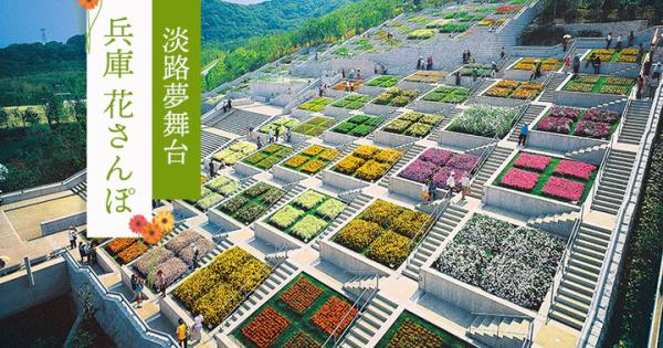 兵庫花さんぽー「淡路夢舞台」など淡路島をぐるりと観光ー