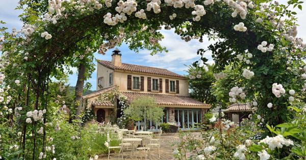 旅の目的地にしたい浜松の人気カフェ8選～マリメッコカフェから北欧気分に浸れるカフェまで～