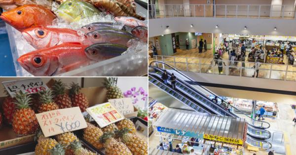 新しくなった那覇の台所「第一牧志公設市場」を探索！ 市場名物の「持ち上げ」も体験しましょう