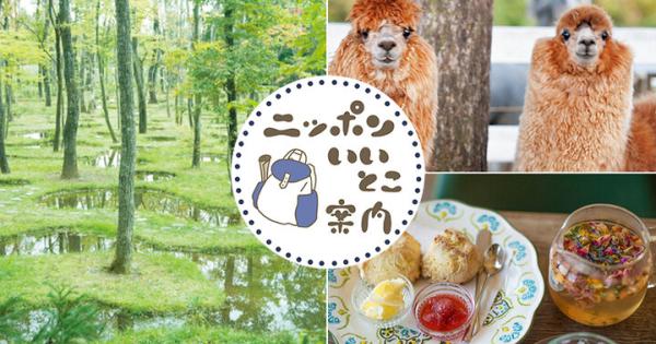 【栃木・那須高原】夏を満喫できるおすすめ観光スポット６選～都心からエスケープして本当に涼しい避暑地へ～