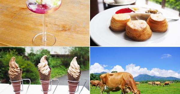 関東から行ける1泊2日の夏旅おすすめエリア6選～水辺のリゾートから山間の避暑地まで～【箱根・伊豆・那須ほか】