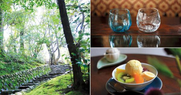 世界遺産を結ぶ山麓のさんぽ道から、納涼床が楽しめる先斗町通まで～