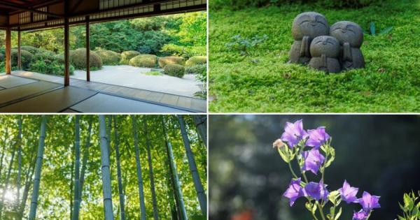 四季の草花が彩る京都・洛北の名庭「詩仙堂」で、心ほどけるひとときを