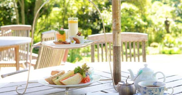 古都鎌倉の木々を揺らす風が心地いい♪テラスのあるカフェレストラン7選