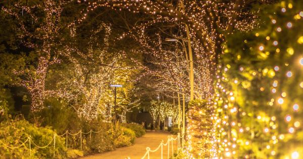 六本木「東京ミッドタウン」で幻想的なクリスマスを