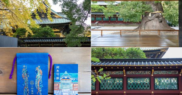 龍やパンダのお守りから月替わりの御朱印まで、心くすぐる授与品がいっぱいの「上野東照宮」へ