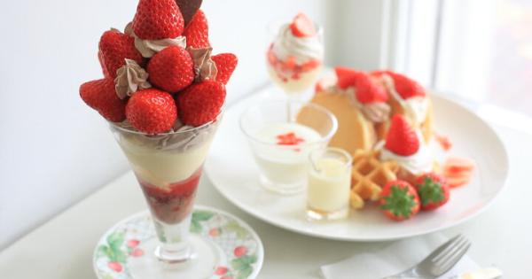 国産イチゴが美味しい期間だけの限定スイーツを／老舗の味を守る名古屋のフルーツパーラー「檸檬屋」