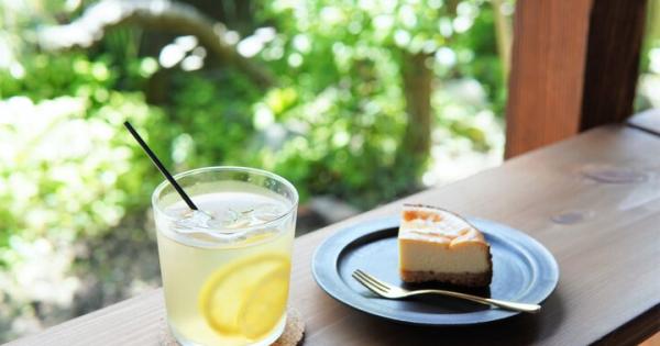 路地の多い鎌倉・長谷の楽しい街歩き♪縁側でくつろぐ古民家カフェをめぐる休日