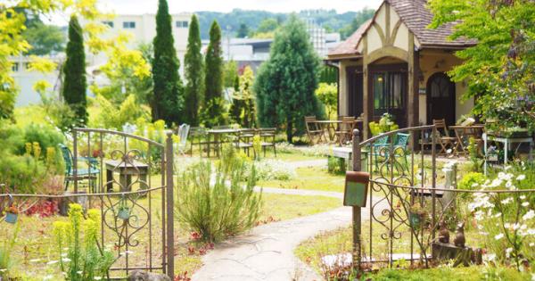 御殿場・伊豆etc.静岡で見つけた森カフェ＆ガーデンカフェ4選~バラが咲き誇る庭から、足湯テラスカフェまで~