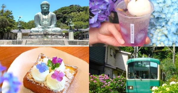 江ノ電にゆられて出かける6月の鎌倉・長谷♪大仏様の参拝と古民家カフェを訪ねるアジサイ散歩