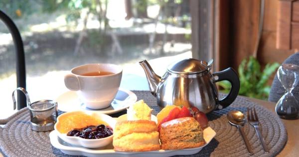 お庭のある素敵な邸宅カフェ「茶室 雨ト音」でクリームティーを楽しむスローな時間♪