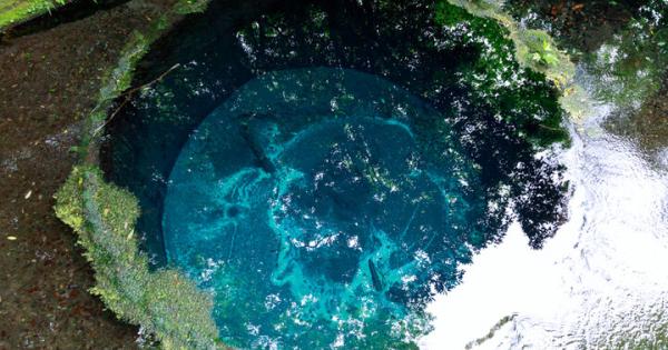 富士山の雪解け水が湧き出る公園でのんびり♪ 緑と清流に囲まれる柿田川公園