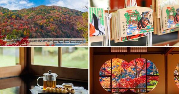 【京都・嵐山の紅葉さんぽ】源氏物語＆ご利益めぐりで秋の嵯峨野を満喫、話題の境内カフェも♪