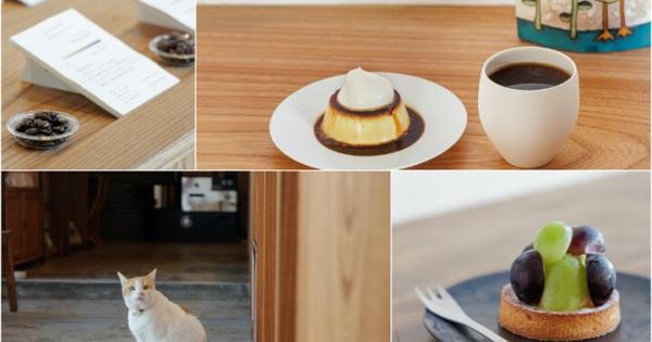 看板猫に会えるかな♪愛知・犬山の「珈琲ボタン」で城下町散策のひと休み