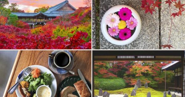【京都・東山の紅葉さんぽ】絶景と町家カフェをめぐって東福寺から泉涌寺へ♪