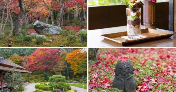 【京都・一乗寺の紅葉さんぽ】洛北の名庭をめぐって、心に染み入るしっとり静かな秋を♪